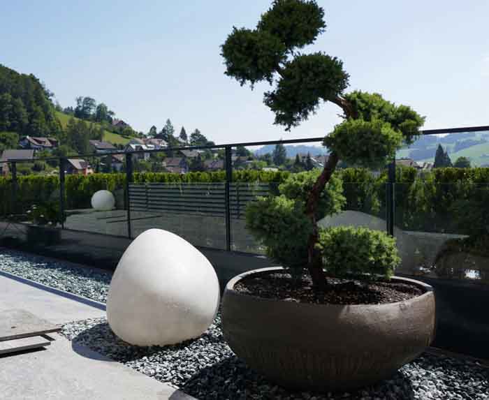 Bonsai - verschiedene Formen langweilen den Blick nie