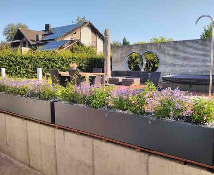 Rosen und Lavendel - perfekt in Scene gesetzt