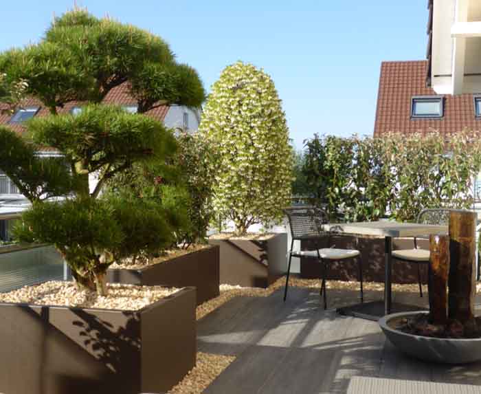 Die Wohlfühloase - Mit Bonsai, Enkianthus und Basaltbrunnen lässt es sich wohlfühlen
