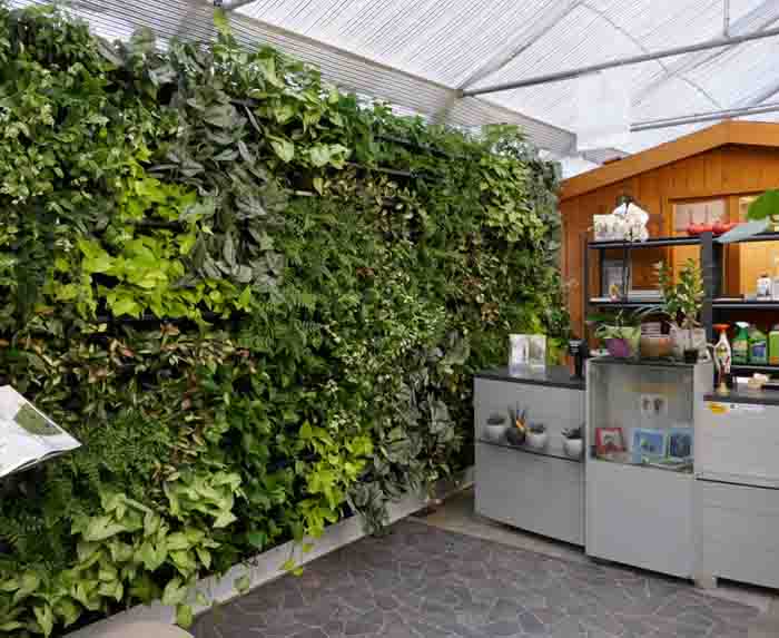 Next Gen - In unserem Showroom &laquo;Casa Verde&raquo; zeigen wir diese Grüne Wand mit Hydrokulturen
