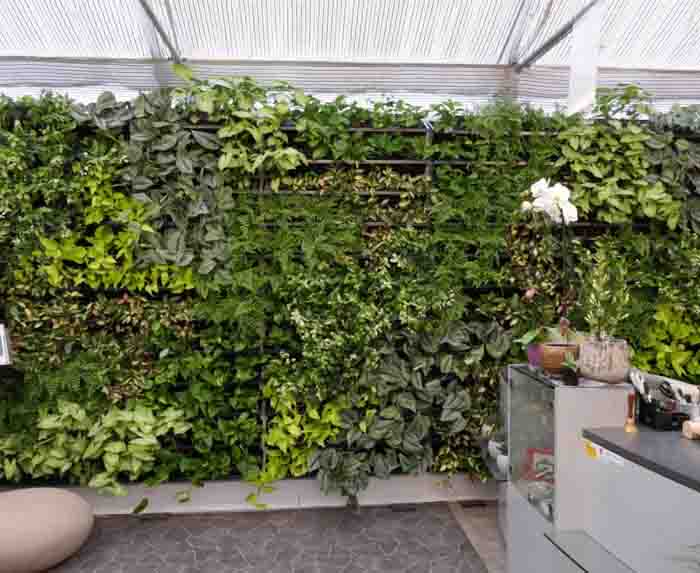 Living Walls - Vertikalbegrünungen erhöhen die Luftfeuchtigkeit und beeinflussen das Raumklima positiv!